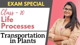 Life Processes  Transportation in Plants  Class 10 [upl. by Ellynad]