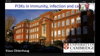 quotPI3K in infection immunity and cancerquot by Dr Klaus Okkenhaug [upl. by Cilla]