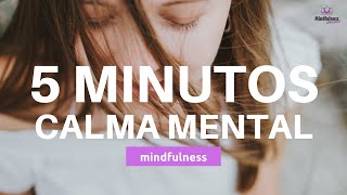 MEDITACION guiada corta CALMAR los PENSAMIENTOS en 5 minutos 😃🙏  Meditación para RELAJAR la MENTE [upl. by Ayet]