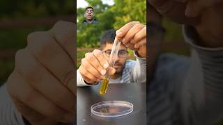 Bio deseil make with algae experiment science scienceexperiment crazyxyz shorts viral [upl. by Llenroc]