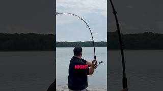 Fishing For Catfish  Fishing New TRICKS shorts fishing [upl. by Solana]