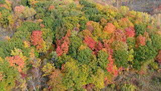 Fall colors over Cannonsburg and Wabasis Lake [upl. by Lonnard]