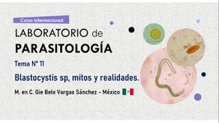 Tema N° 11 Blastocystis sp mitos y realidades [upl. by Eissalc]