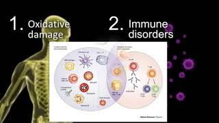 UNDERSTADING THE IMMUNE SYSTEM AND PROGLUCAMUNE [upl. by Htebyram]