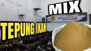 Berapa Kebutuhan Protein Ayam KUB Umur 6  12 Minggu [upl. by Henn900]