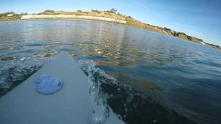 Great White Shark Encounter Surfing in Santa Cruz CA [upl. by Grefe]