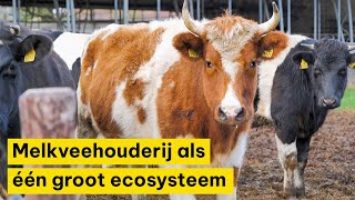 Melkveehouderij als één groot ecosysteem  Ekoland Innovatieprijs 2024 [upl. by Yeliw]