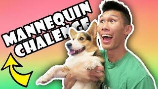 CORGI DOG NAILS MANNEQUIN CHALLENGE  Life After College Ep 519 [upl. by Bonita]