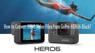 How to Convert HEVC Video Files from GoPro HERO 6 Black [upl. by Eniamzaj]