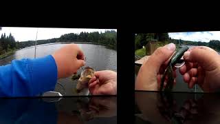 Bass Fishing Tenmile Lakes [upl. by Olimreh859]