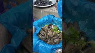 Amazing morning fish market deshi biler koi catfish shorts fish instafish deshifish koifish [upl. by Yeslaehc]