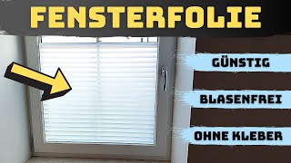 Fensterfolie anbringen  Perfekter Sichtschutz für dein Fenster Blasenfrei amp Günstig [upl. by Aicirt572]