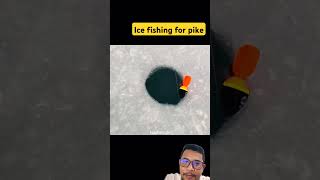 Ice fishing for pike fishing fish icefishing catchandrelease trout bassfishing carpfishing [upl. by Lexy]