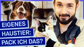 Tierheime voll Wie kann ich Hund oder Katze verantwortungsvoll halten [upl. by Attenra]