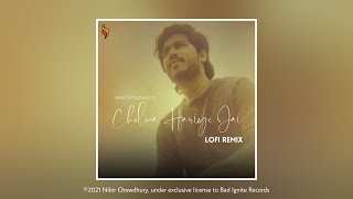 Nibir Chowdhury  Cholona Hariye Jai Lofi Remix BIR Release [upl. by Derry139]