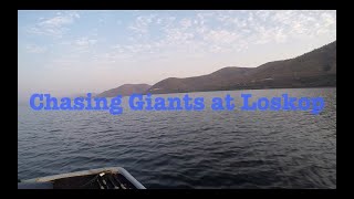 Chasing Loskop Giants part1 [upl. by Corty210]