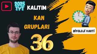 Kan Grupları  TYT Biyoloji Kampı36  yks2025 [upl. by Reneta760]