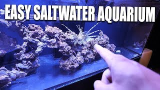 17 Centrepiece Saltwater Fish For EVERY Size Tank [upl. by Ytitsahc]