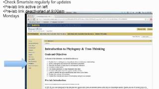 BIS2C FALL2012 LECTURE 1 Introduction Phylogeny [upl. by Aimac]