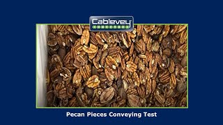 Cablevey® Conveyors  Pecan Pieces [upl. by Orat57]