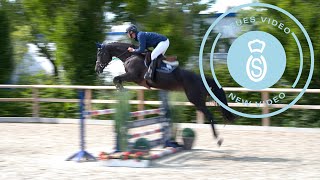 12 Hicksteads Lady  102 VHA 2024  New Video [upl. by Ailene]