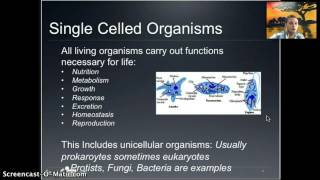 IB 11  Cell Introduction [upl. by Madlen]