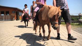 Ferienhof SchulteGÃ¶bel SchmallenbergSelkentrop [upl. by Traci138]