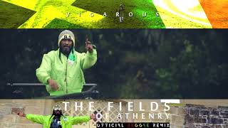 The Fields Athenry  Reggae Version  Vigarous [upl. by Anilef]