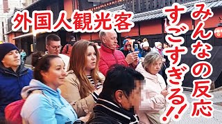 【リアルな海外の反応】外国人観光客の感激がすごすぎる！舞妓さんに会えて素晴らしい日本の旅が完結！ [upl. by Duval]