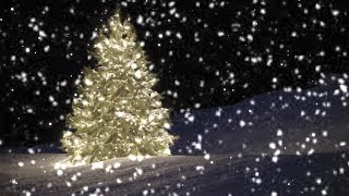 10 Hours SloMo Snow falling on Christmas Tree  Video amp Audio 1080HD SlowTV [upl. by Gytle]