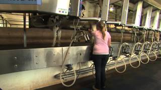 DAIRY FARMERS OF ONTARIO [upl. by Olra]