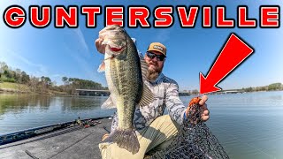 Spring Bass Fishing Is Awesome Exploring Lake Guntersville [upl. by Eniamat]