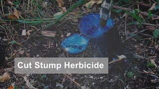 Cut Stump Herbicide Treatments [upl. by Mmada]