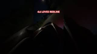 Cammed Mustang Loves REDLINE mustang cammed loudexhaust cammedmustang [upl. by Duj977]