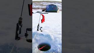 Ice Fishing fishing fish [upl. by Bevers]