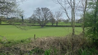 Walk along the towpath April 2024 [upl. by Rudie]