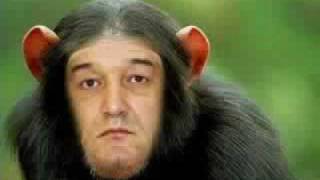 Parodie Muzicala  Gigi Becali [upl. by Eitsyrk]