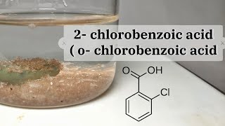 o chlorobenzoic acid 2 chlorobenzoic acid  synthesis [upl. by Shira343]