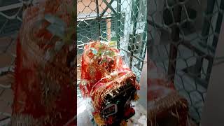 Jai Tulsi maa 🙏 sabka Mangal sabka bala 🙏🙏 [upl. by Tobye]