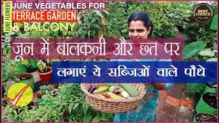 बरसात की करे तैयारी जून में गमले में लगा लें ये सब्ज़ियाँ सारी June Indian vegetable grow calendar [upl. by Keverne242]