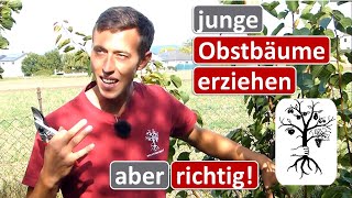 Junge Obstbäume schneiden und formieren  Erziehungsschnitt von Obstbäumen [upl. by Occir]