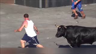 Bull Vs PeopleDemolishing People Compilation [upl. by Akirej529]