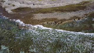 Tessellated Pavement [upl. by Sunev]