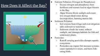 Agricultural Runoff into the Chesapeake Bay [upl. by Helbon]