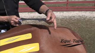 EquiTaping Kinesiology Training and Rehab Overview [upl. by Oile734]