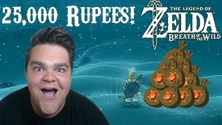 THE BEST WAY TO GET RUPEES 25000 RUPEES AN HOUR  Legend of Zelda Breath of the Wild Guide [upl. by Edroi]