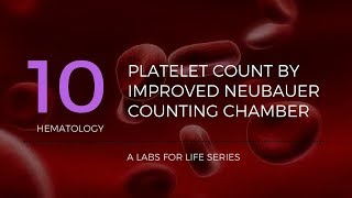 Platelet Count by Improved Neubauer Counting Chamber [upl. by Jezreel651]