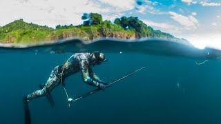 Spearfishing Tweed  Gold Coast  Morwong Sweetlip Remora 22092024 [upl. by Noirrad]