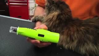 Demonstration Furminator Nail Trimmer and Nail Grinder for Cats [upl. by Eedebez348]