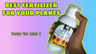 Seaweed fertilizer  How to use seaweed fertilizer Seaweed fertilizer का उपयोग कैसे करें [upl. by Aleb]